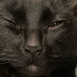 Meet your Posher, Nabeeha